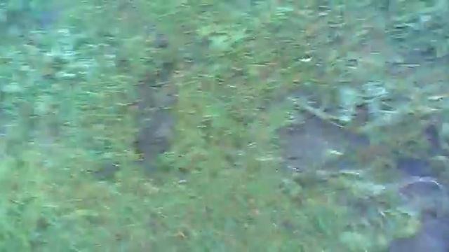 ржу не могу))дебилы** смотреть онлайн