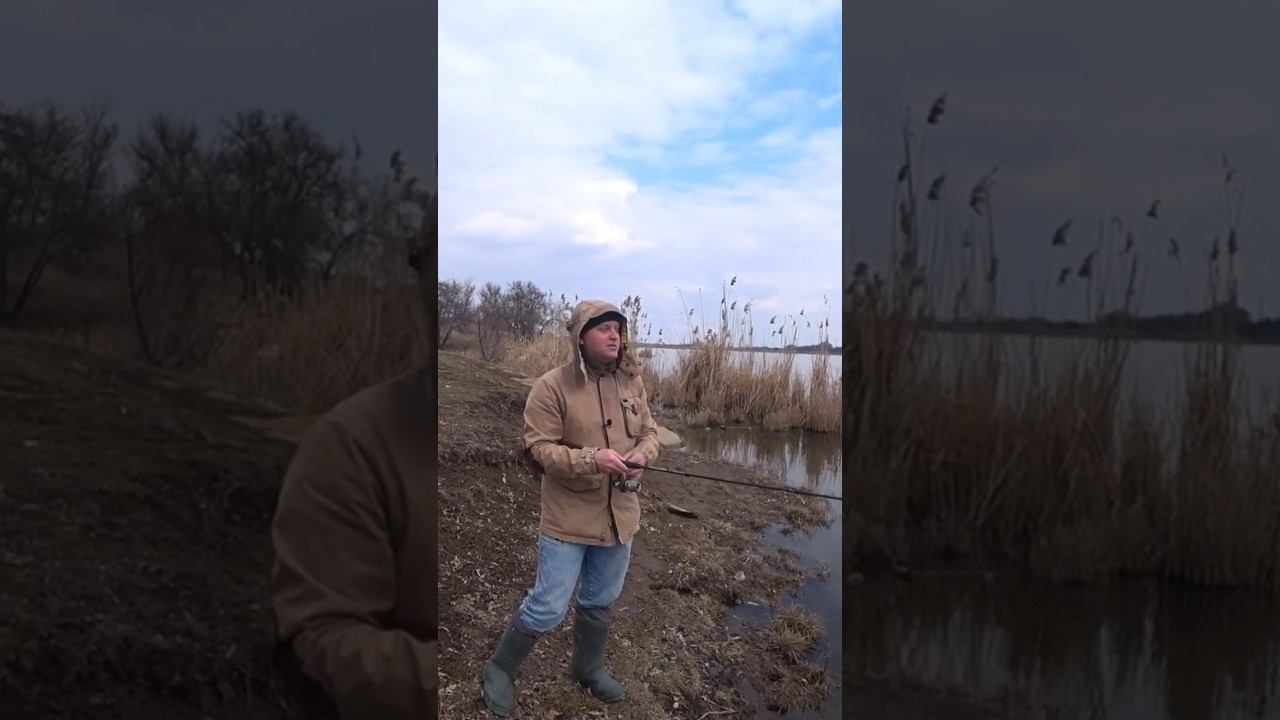 На что ловить щуку весной? #щука #рыбалка #весна #спиннинг #блеснанащуку #shorts смотреть онлайн
