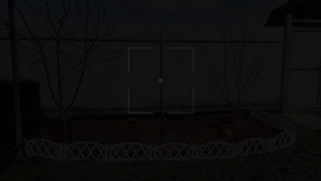 Преображение клумбы. Мульчирую клумбу.