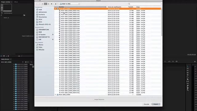 How To Batch Import DNG Sequences To Adobe Premiere