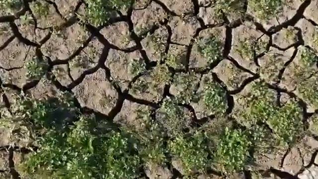 Симферополь водохранилище 2020 смотреть онлайн