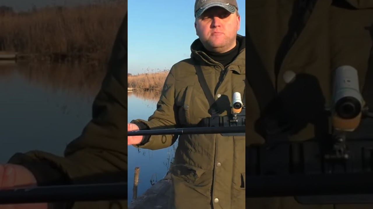 Akara Geden Carp VS Salmo Sniper Carp #рыбалка #карповаяловля #карпфишинг #shorts смотреть онлайн