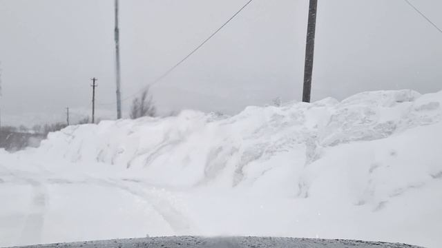 Мурманск, апрель 2025г. На ниве тревел спускаемся...