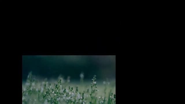 Relaxing Sleep Music | Deep Sleeping Music, Relaxing Music, Meditation Music смотреть онлайн