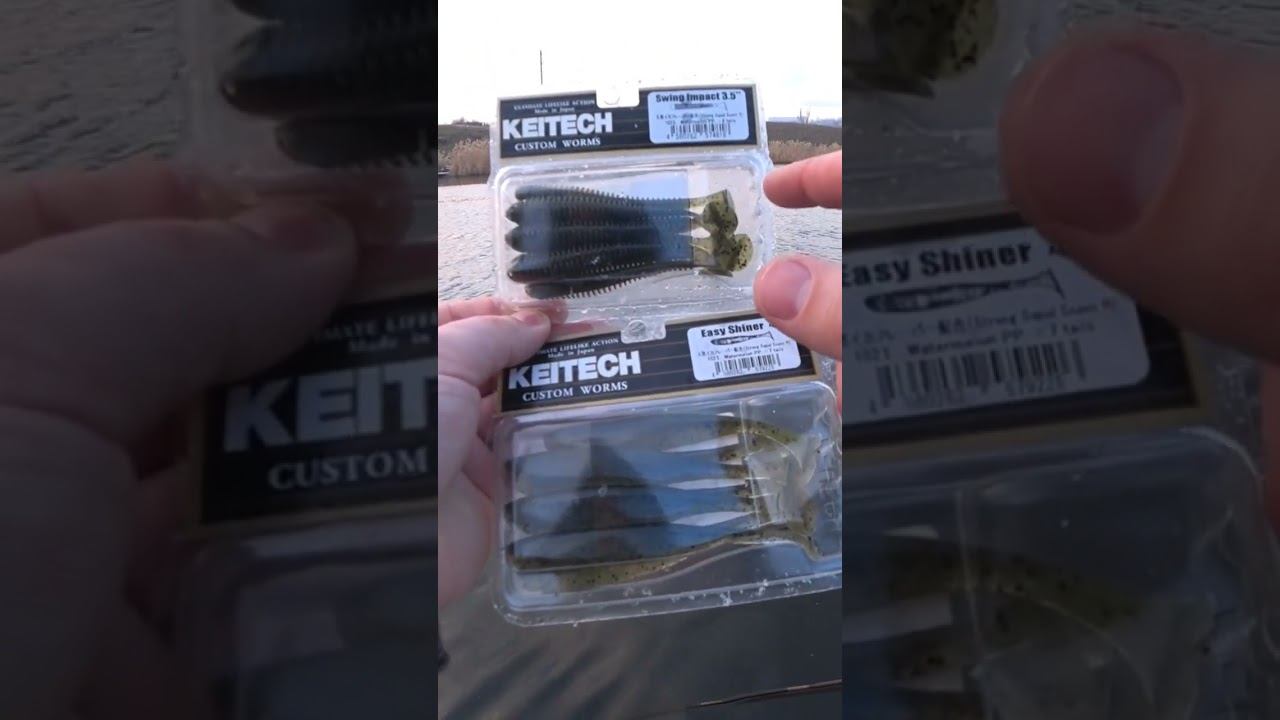 Easy Shiner VS Swing Impact #рыбалка #fishing #спиннинг #джиг #shorts смотреть онлайн