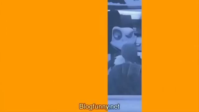 22 Oscar Çöllerde Çizgi Flim Bölüm 1 Oscar Oasis Cartoon