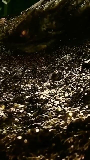 #shorts #hobbit #desolation of smaug #dragon смотреть онлайн