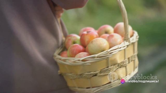 ❤️🔥МАМИНА ПОДРУГА ПРОСИЛА ВСПАХАТЬ ЕЙ ГРЯДКИ❤️🔥Истории из жизни❤️🔥Рассказы о любви❤️🔥Тёща Милая смотреть онлайн