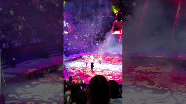 Выступление артистов в Большом Московском Цирке 🎠🏟🎪 сказка 📙 о золотой рыбке 🐠