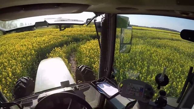 Raps Vollblüte | Pflanzenschutz | Fendt Vario 820 & RTS Albatros 65 |*Cabview*GoPro*DJI* смотреть онлайн