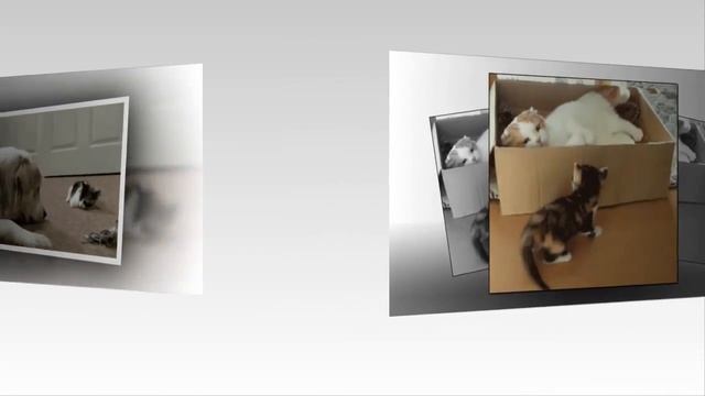 Прикольно! смотреть онлайн