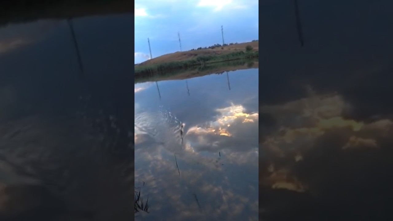 Минус брусок макухи #карась #fishing #рыбалка #макушатник #shorts смотреть онлайн