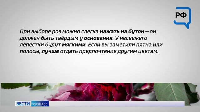 Кузбассовцам рассказали, как выбрать цветы на 8 марта смотреть онлайн