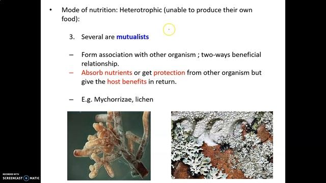 LECTURE CHAPTER 1 BIODIVERSITY PART 9 смотреть онлайн