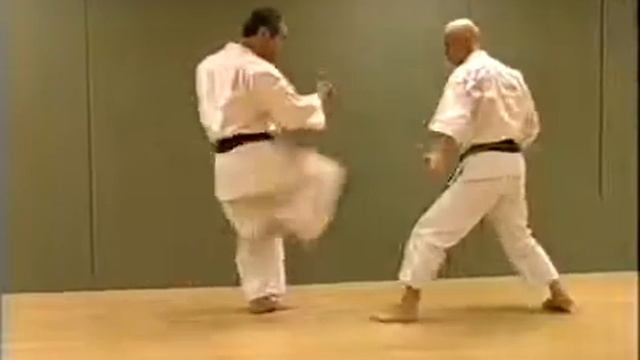 Wado Ryu Karate-do Techiniques 7 kyu смотреть онлайн
