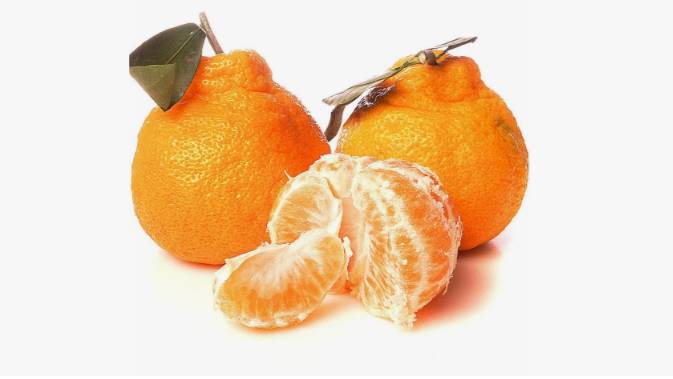 мандарин, халабон, китайский мандарин, мандарин халабон, халабон, смотреть онлайн