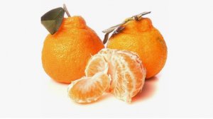 мандарин, халабон, китайский мандарин, мандарин халабон, халабон,