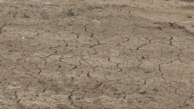 Najveće slatkovodno jezero Pojang u Kini nastavlja da se smanjuje смотреть онлайн