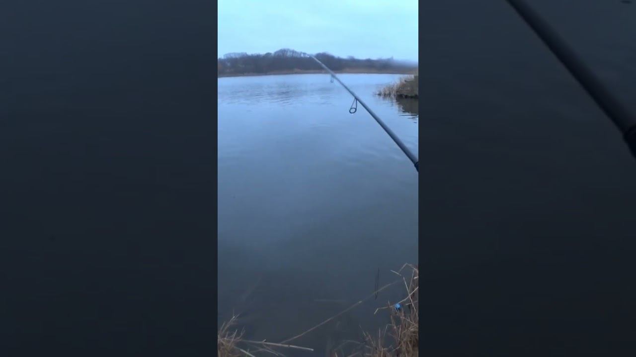 Матрос на виброхвост #рыбалка #отводнойповодок #джиг #shorts смотреть онлайн