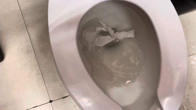110. Rare 2008 Orion Toilet at Universidad Autonoma de Nuevo Leon. смотреть онлайн