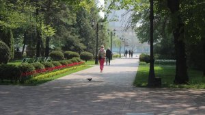 До + 23 градусов ожидается завтра на Ставрополье