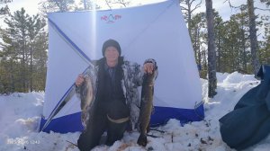 Забрался в тайгу. Живу в палатке. Есть добыча. Часть первая.