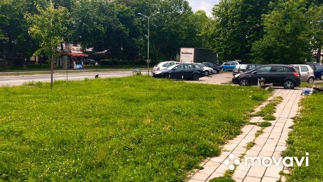 Почему мои собачата лают на лошадь? («Жизнь бездомных собак» 🐕). смотреть онлайн