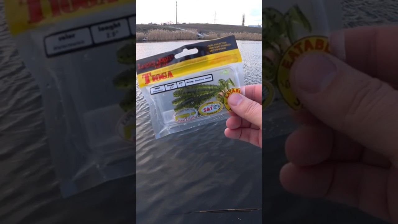 Lucky John Tioga #рыбалка #fishing #джиг #спиннинг #shorts смотреть онлайн