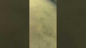 Купил себе скутер