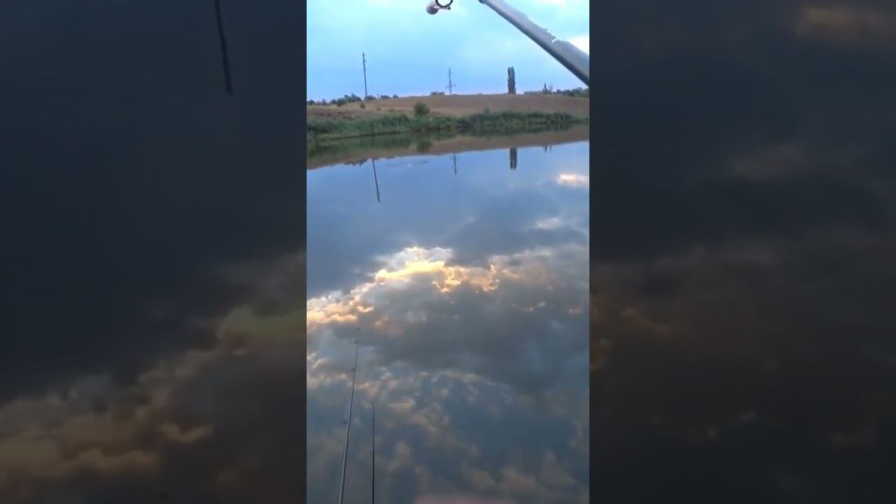 Поклёвка на макушатник #fishing #рыбалка #карась #shorts смотреть онлайн