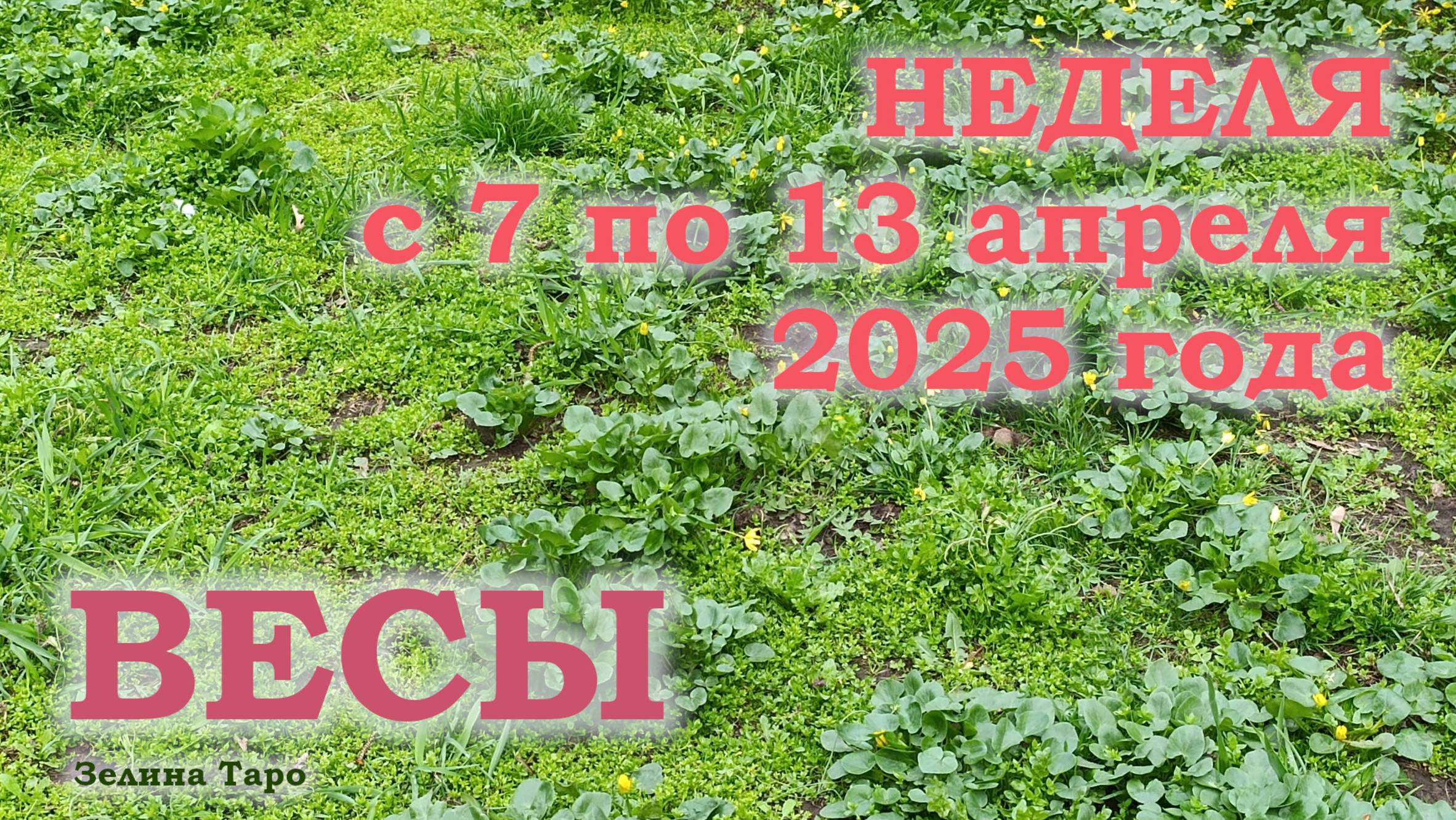 ВЕСЫ | ТАРО прогноз на неделю с 7 по 13 апреля 2025 года
