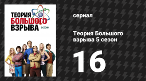 Теория Большого взрыва 5 сезон 16 серия «Проблема отпуска» (сериал, 2007-2019)