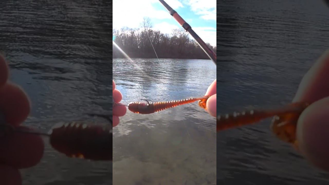 Поклёвка на виброхвост #рыбалка #джиг #спиннинг #shorts смотреть онлайн