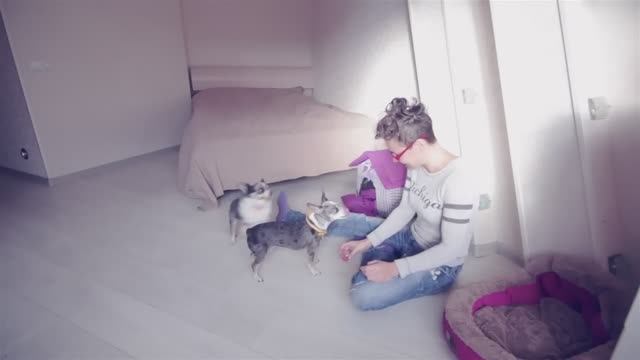 Ревнивая чихуахуа: что говорят собаки, когда остаются одни? 🗣️💔 смотреть онлайн