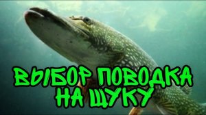 Какой поводок ставить на спиннинг? Выбор поводка на щуку