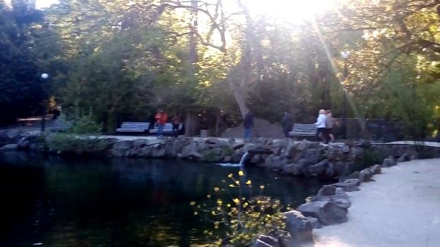 Воронцовский парк. Алупка. смотреть онлайн