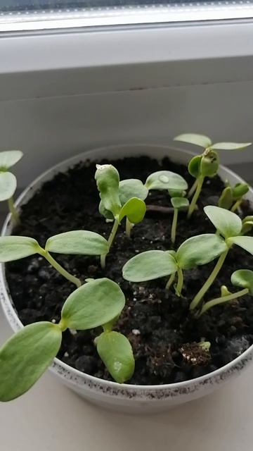 Часть 2. Начало летнего сезона