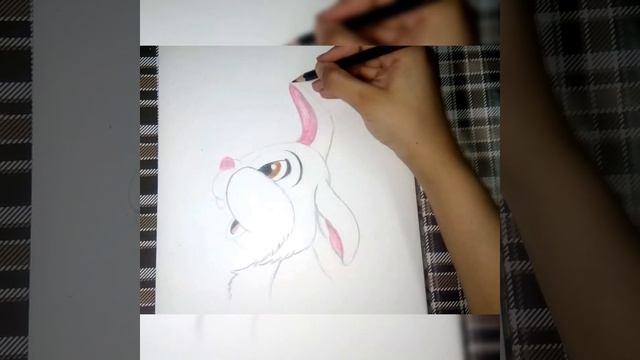 Disney Bunny Drawing With Colour Pencils, Learn how to draw disney Rabbit, Bugs bunny rabbit, смотреть онлайн