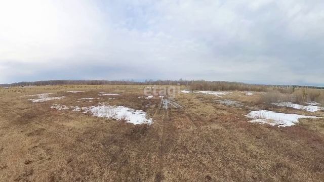 5865562 смотреть онлайн