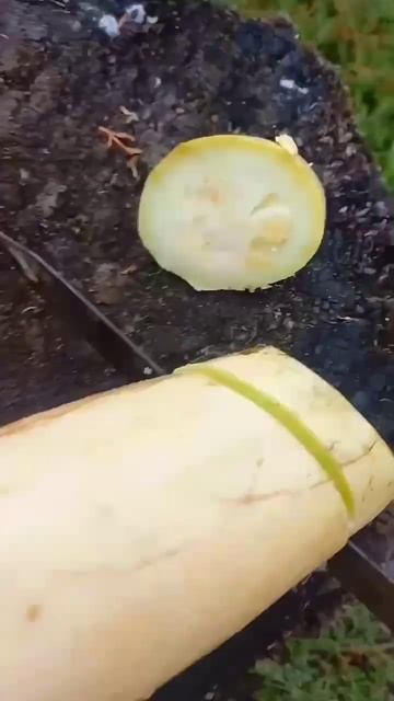 ДЕРЕВНЯ.БУДНИ.ДОЖДЬ.. смотреть онлайн