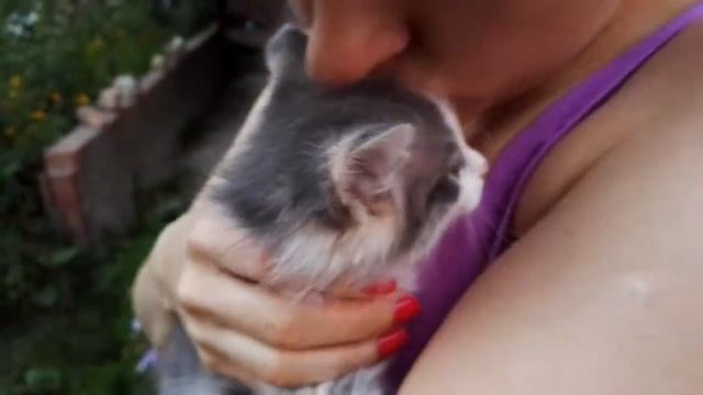 Котенок 3 смотреть онлайн