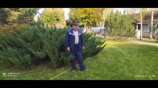 Етинчи кун.