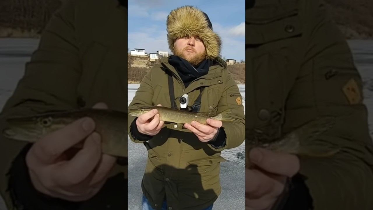 Забрал щуку в городской пруд #рыбалка #зимняяловлярыбы #щуканажерлицы #shorts смотреть онлайн