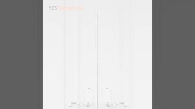 YE'S Botanica смотреть онлайн