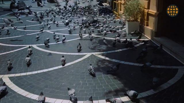 БАКУ. Улица ТОРГОВАЯ│NIZAMi Street│Часть 3