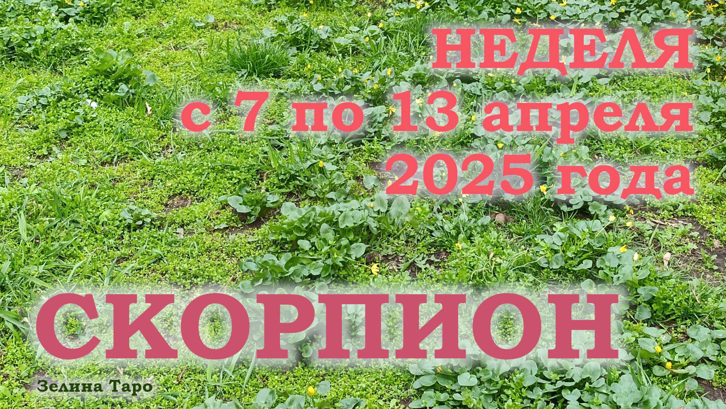 СКОРПИОН | ТАРО прогноз на неделю с 7 по 13 апреля 2025 года