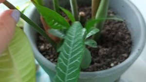 Вот такой Апрель🤷♀️