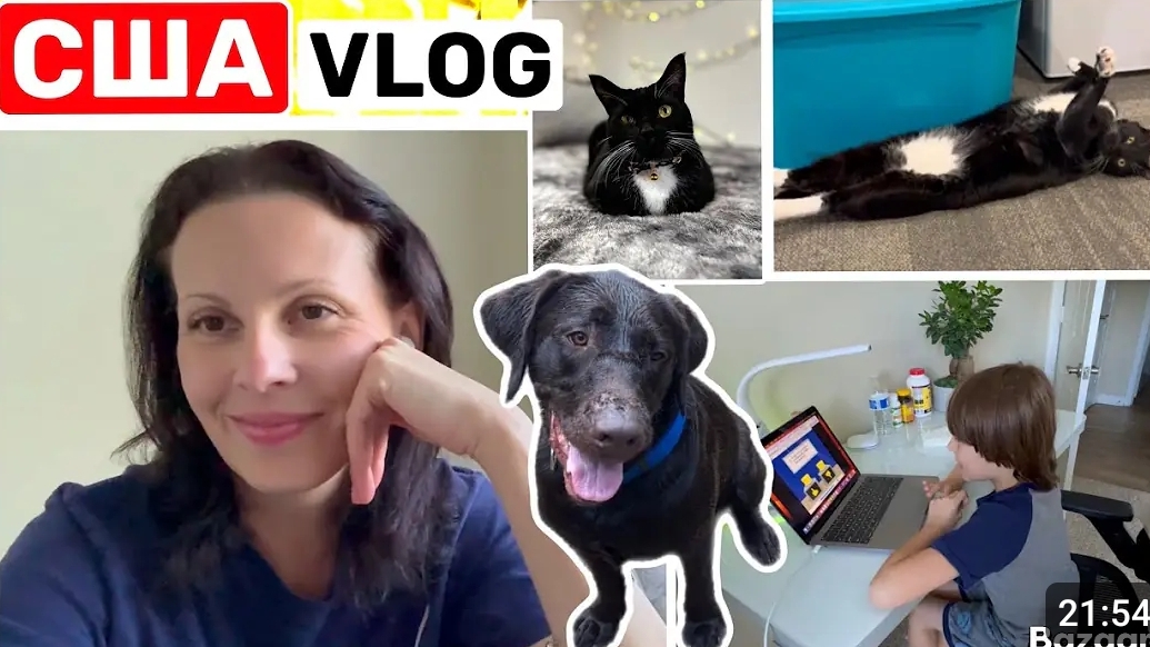США ВЛОГ Совсем забыла Исправляюсь! Заболела Семейный ВЛОГ смотреть онлайн