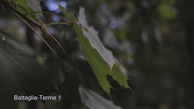 Battaglia Terme 1 смотреть онлайн