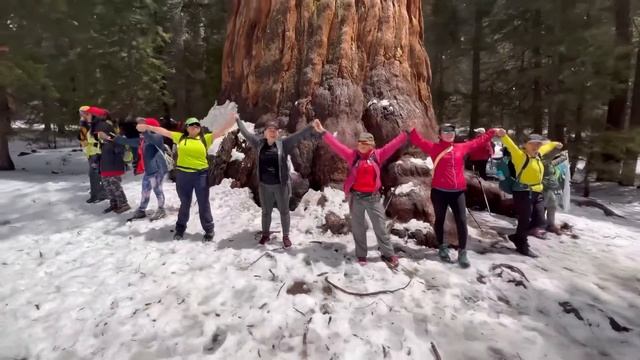 General Sherman Tree |Sequoia National Pak смотреть онлайн